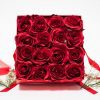 W9571Red