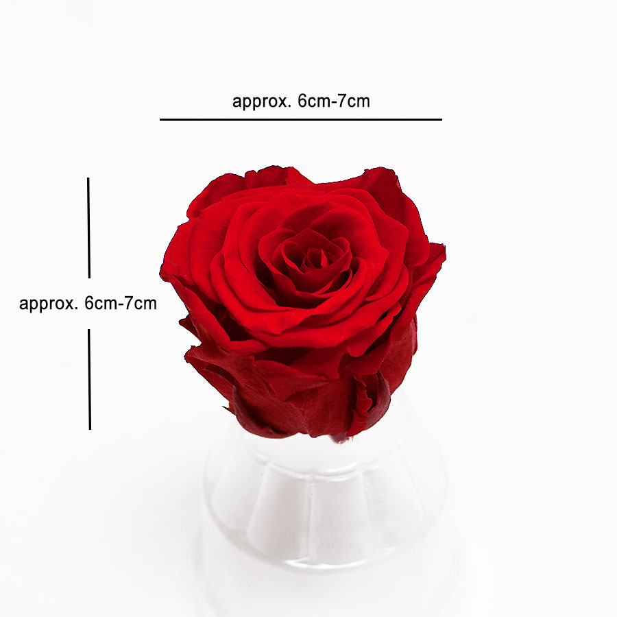 Red Eternity Roses