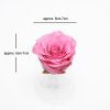 _AAA6611-3 Pink Eternity Roses
