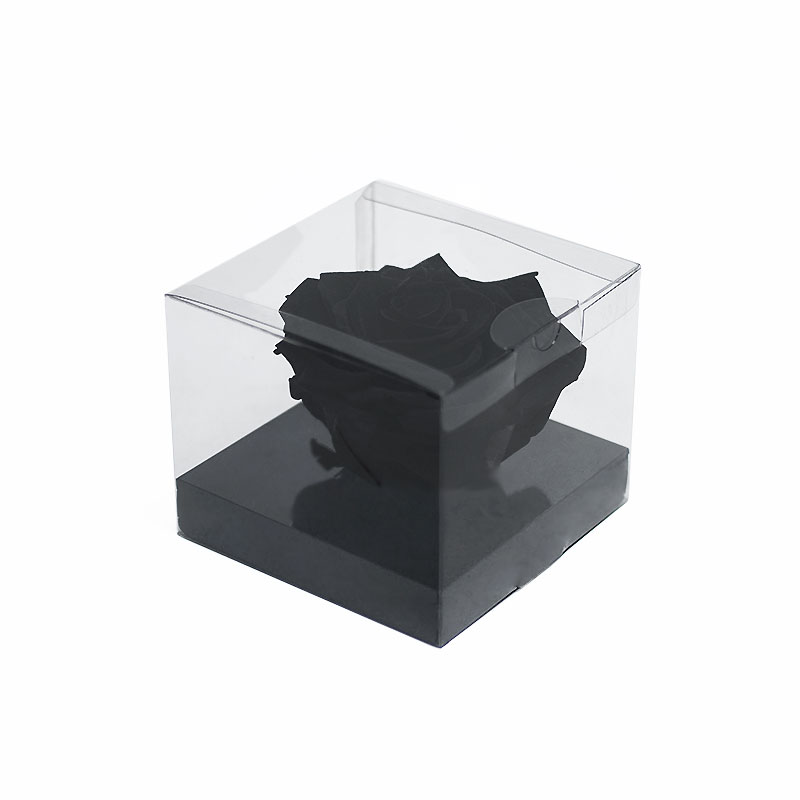 Jumbo Black Ecuadorian Eternity Flower