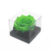 Jumbo Green Ecuadorian Eternity Rose