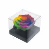 _AAA6721 Jumbo Rainbow Color Ecuadorian Eternity Flower