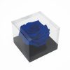 _AAA6750-1 Jumbo Blue Eternity Rose
