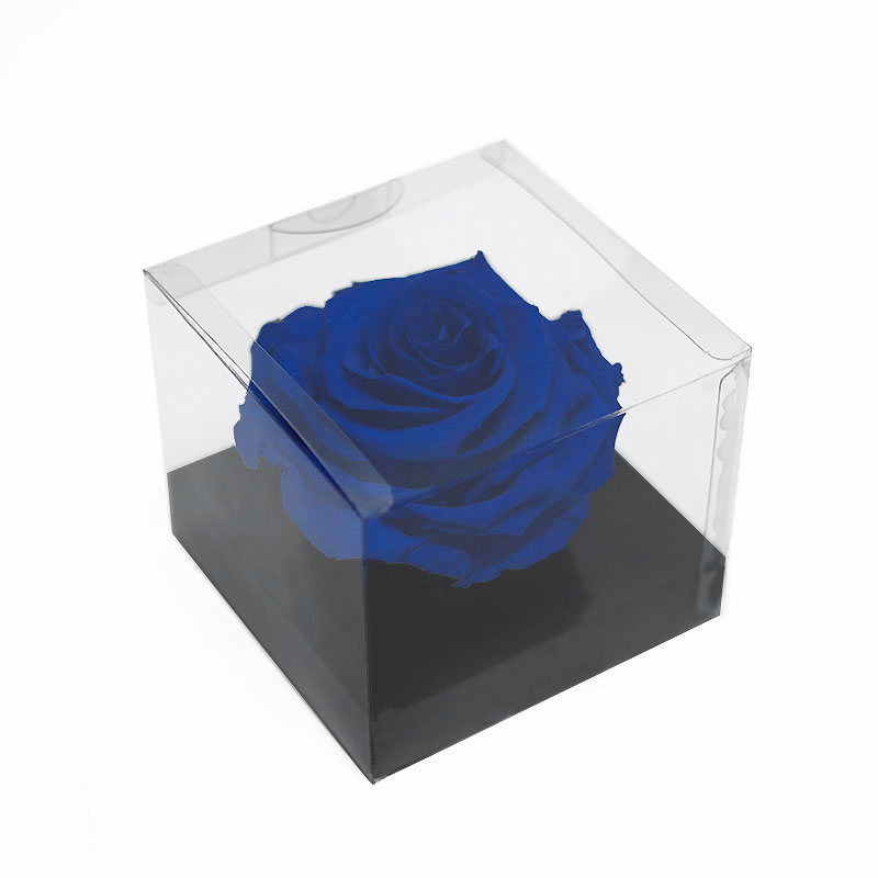 _AAA6750-1 Jumbo Blue Eternity Rose