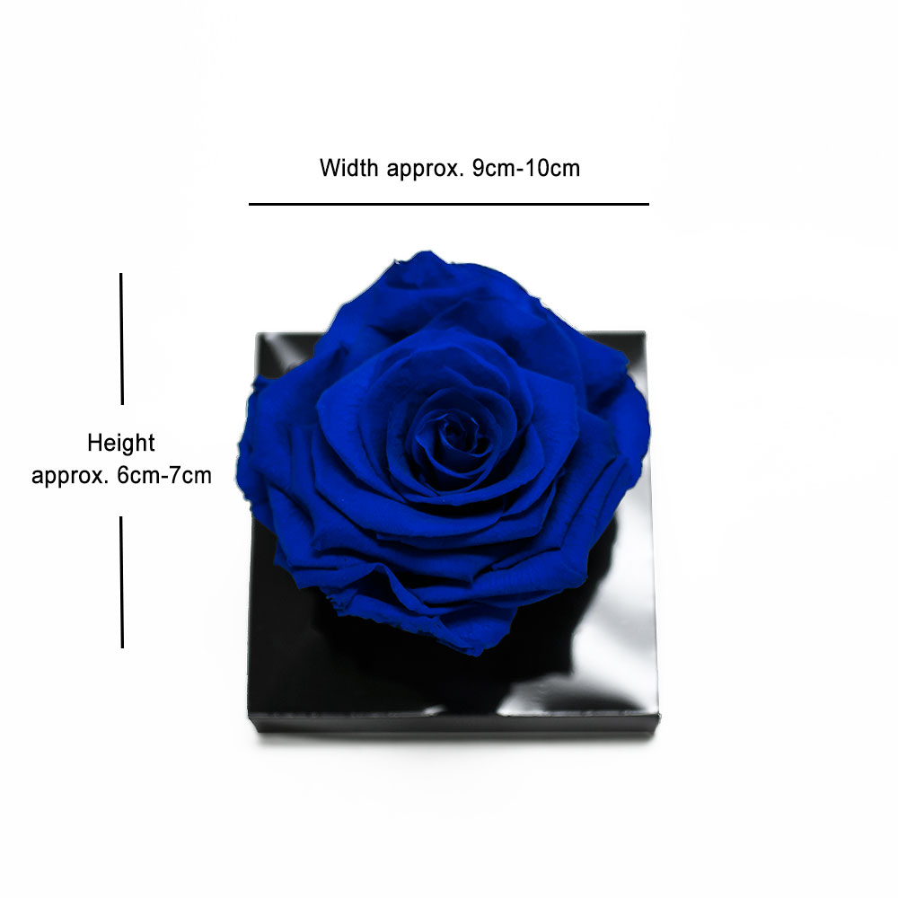 _AAA6770-2 Jumbo Blue Eternity Rose