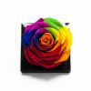 _AAA6790-1 Jumbo Rainbow Color Ecuadorian Eternity Flower