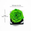 Jumbo Green Ecuadorian Eternity Rose