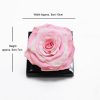 Large Pink Eternity Rose