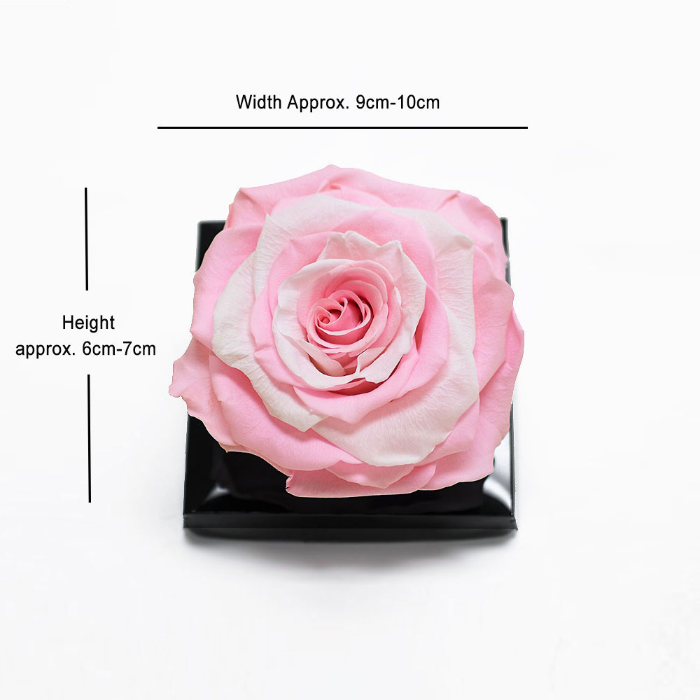Large Pink Eternity Rose
