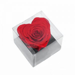 XL Red Ecuadorian Eternity Heart Shape Flowers Preserved Roses 10cm to 11cm