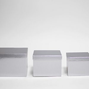 w6855-silver-striped-flower-boxes-set-of-3