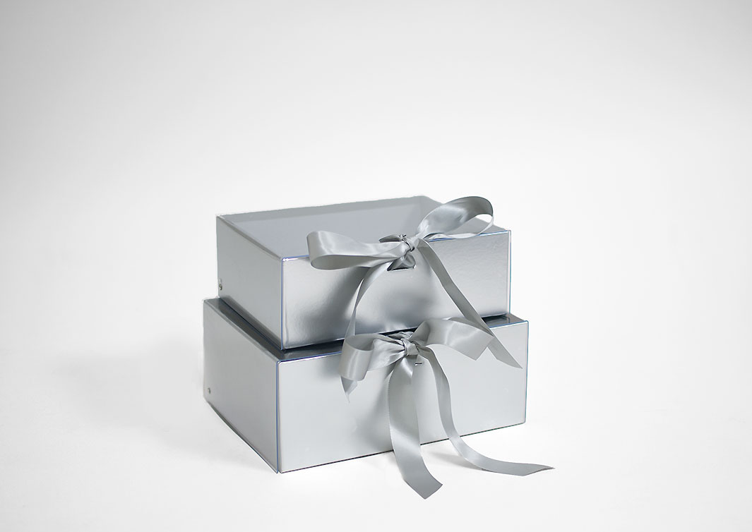 Silver Rectangular Flower Boxes With Clear Lid