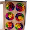 Rainbow Ecuadorian Eternity Flowers Preserved Roses Pack of 6 6cm to 7cm Rainbow Ecuadorian Eternity Flowers Preserved Roses Pack of 6 6cm to 7cm