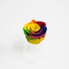 Rainbow Ecuadorian Eternity Flowers Preserved Roses Pack of 6 6cm to 7cm Rainbow Ecuadorian Eternity Flowers Preserved Roses Pack of 6 6cm to 7cm