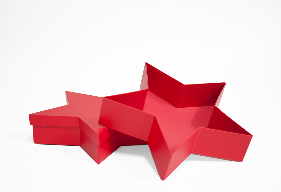 W6662 Red Star Shape Flower Box