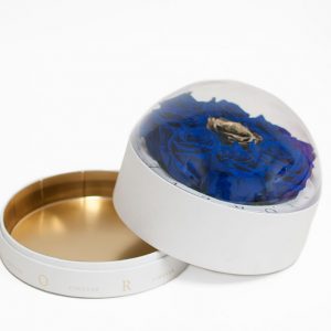 2012-large-white-forever-round-sphere-with-clear-top
