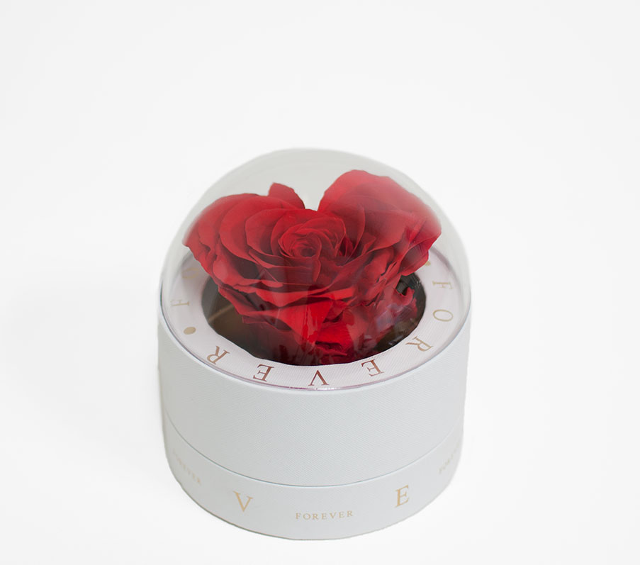2003 White Forever Round Sphere with Clear Top