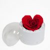 2003 White Forever Round Sphere with Clear Top