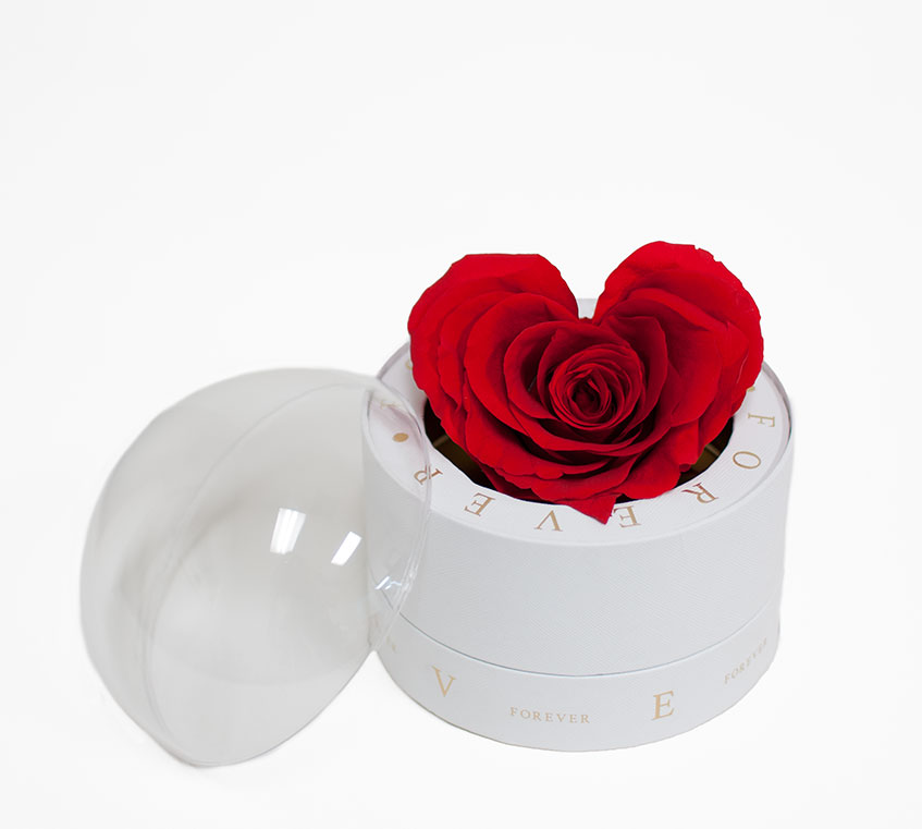 2003 White Forever Round Sphere with Clear Top