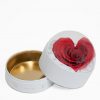 2003 White Forever Round Sphere with Clear Top