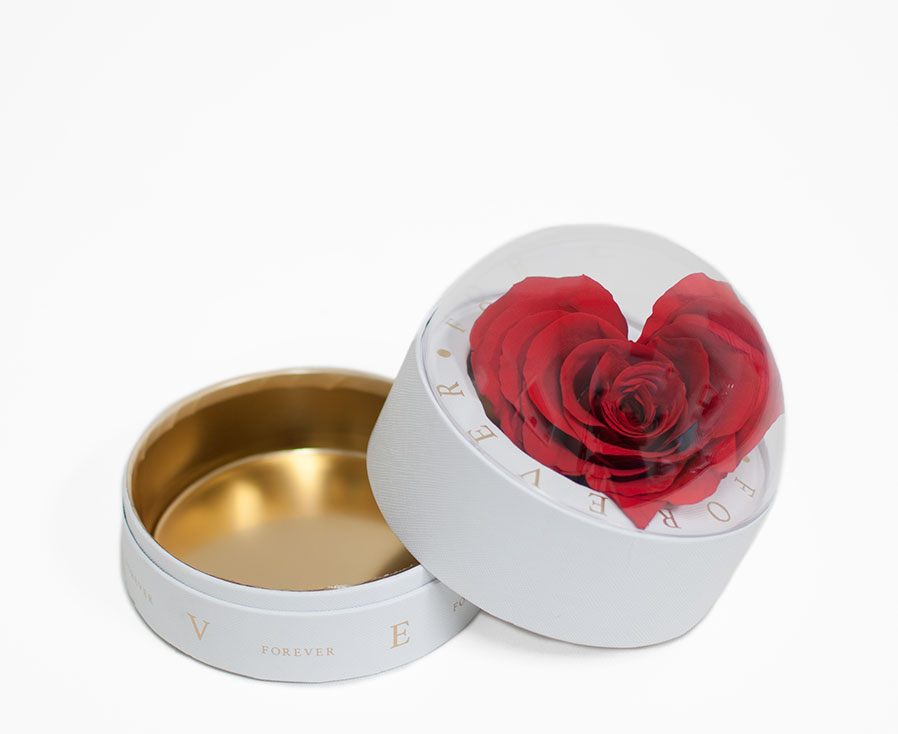 2003 White Forever Round Sphere with Clear Top