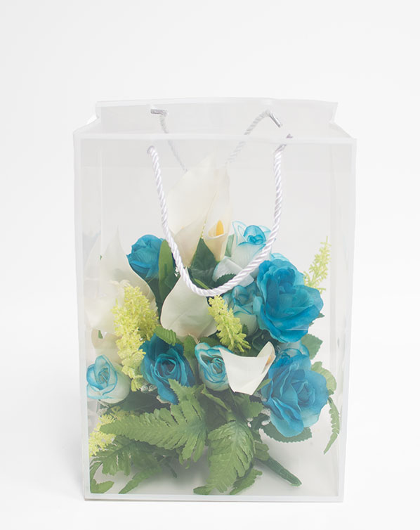 White Transparent Bag with Frame White Transparent Bag with Frame
