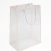 Pink Transparent Bag with Frame Pink Transparent Bag with Frame