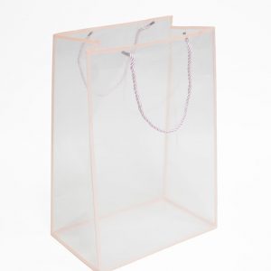 Pink Transparent Bag with Frame