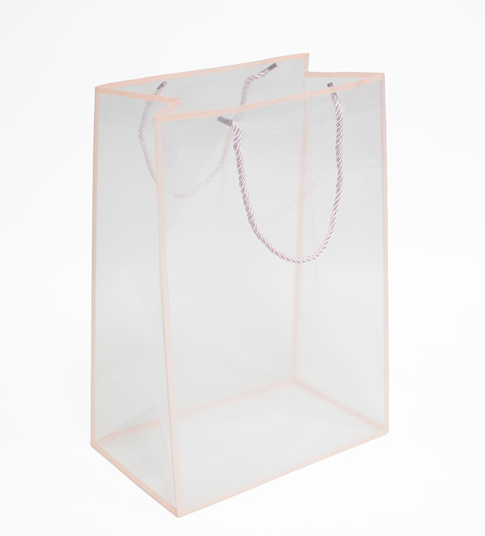 Pink Transparent Bag with Frame Pink Transparent Bag with Frame