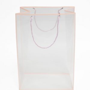 pink-transparent-bag-with-frame