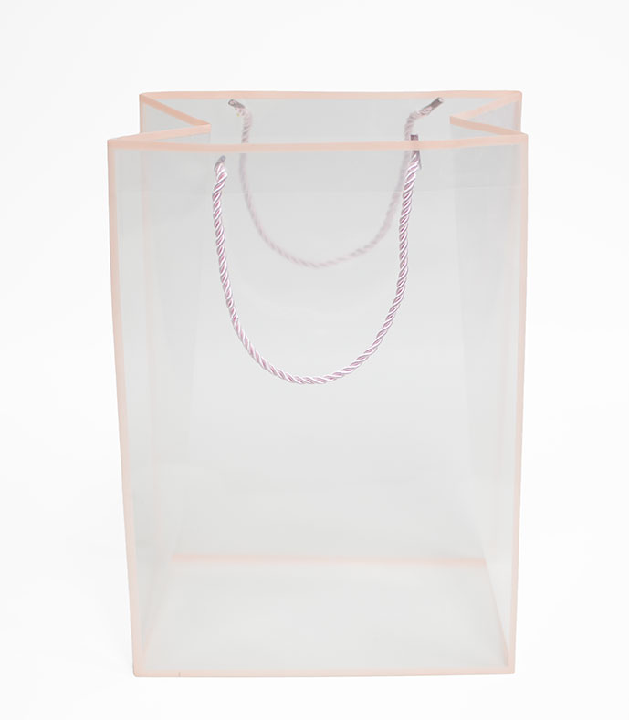 Pink Transparent Bag with Frame Pink Transparent Bag with Frame