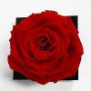 XL Red Ecuadorian Eternity Flower Preserved Rose 9cm to 10cm XL Red Ecuadorian Eternity Flower Preserved Rose 9cm to 10cm