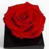 XL Red Ecuadorian Eternity Flower Preserved Rose 9cm to 10cm XL Red Ecuadorian Eternity Flower Preserved Rose 9cm to 10cm