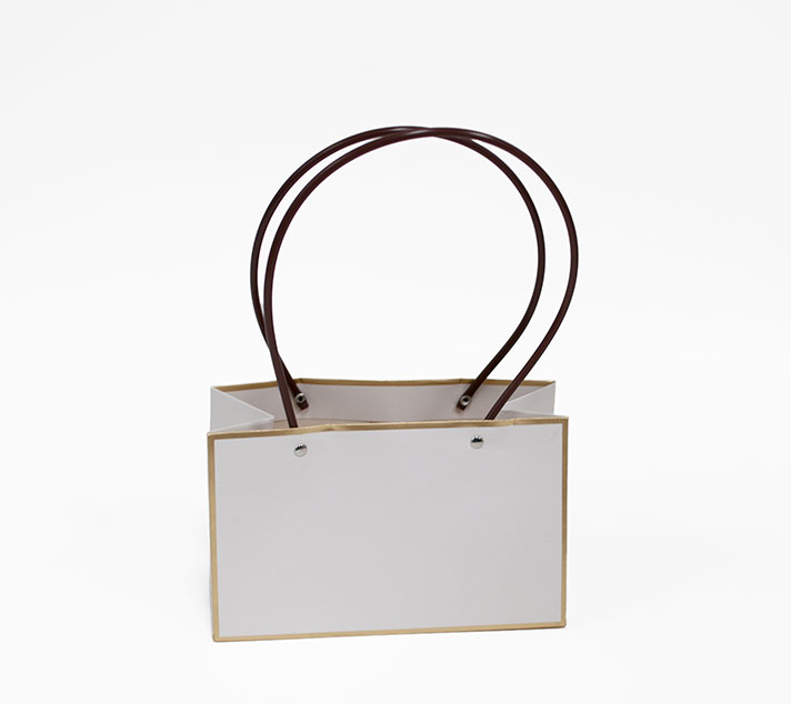 bag1