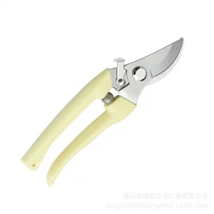 Shears