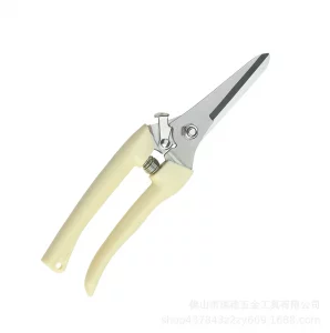 Scissors