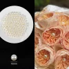 AP003-1 copy 10mm Floral Decorative Pearls