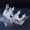 Metal Silver Floral Crown