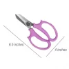 Stainless Steel Floral Scissor
