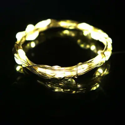led lights-2 White LED String