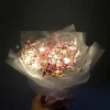 led lights-6 White LED String