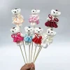 pack of 10 Foam Bears
