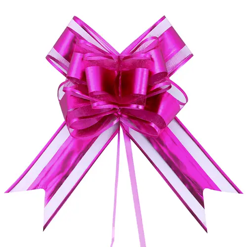 5.5 Inches Fuchsia Ribbon Bow – 10 Pieces/Pack